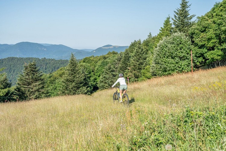 The Markstein FFC No. 30Mountain Bike Route