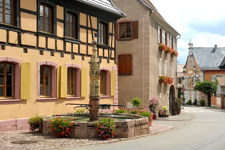 Entdeckungstour durch Beblenheim