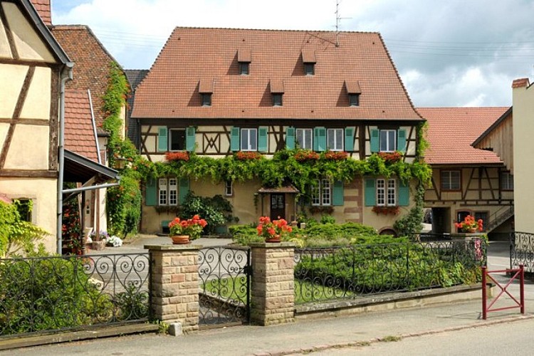 Circuit de découverte de Beblenheim