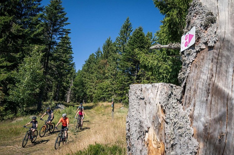 From Lichtenberg to La Petite-Pierre (mountain bike)