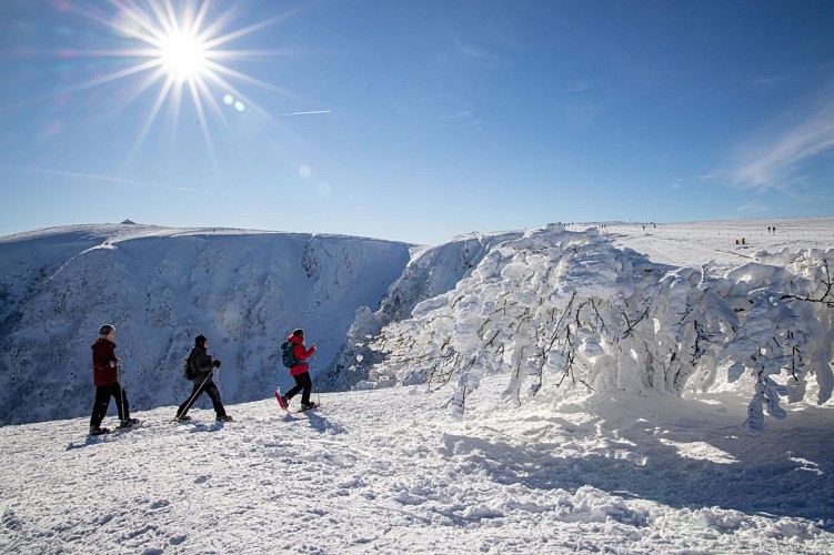 Snowshoe hiking