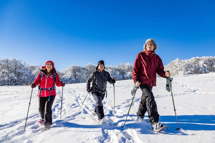 Snowshoe hiking