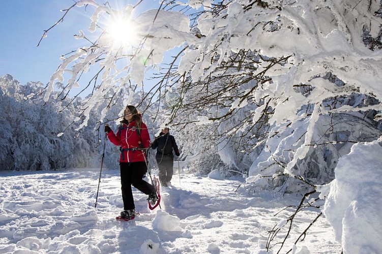 Snowshoe hiking