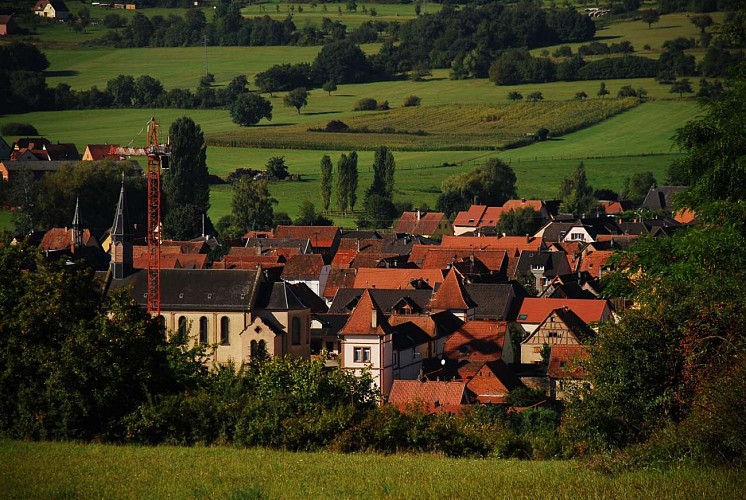 Search for magic words - Still