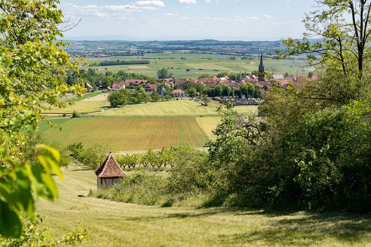 Bastberg Geological Trail