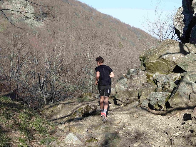 Un coureur sur le Molkenrain