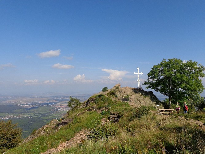 Vue de la plaine d'Alsace au Hartmannswillerkopf - Vieil-Armand