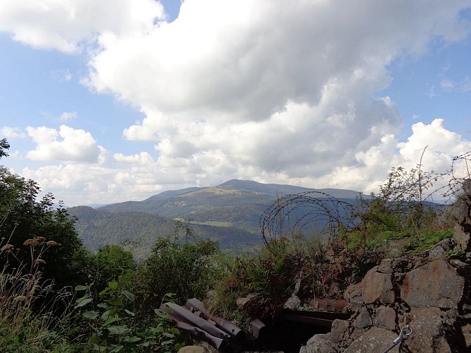 Les tranchées et barbelés du site du Hartmannswillerkopf