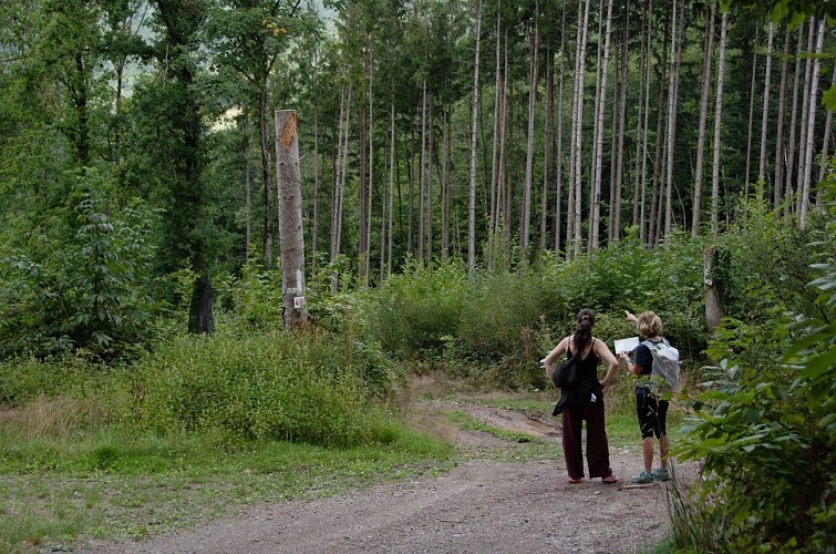 Rundgang - Zwischen Weinbergen & Obstgärten