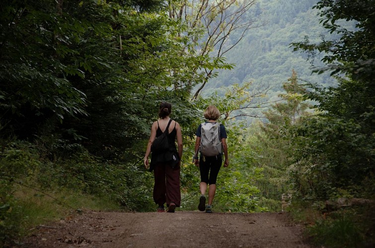 Randonnée - Entre vignoble et vergers