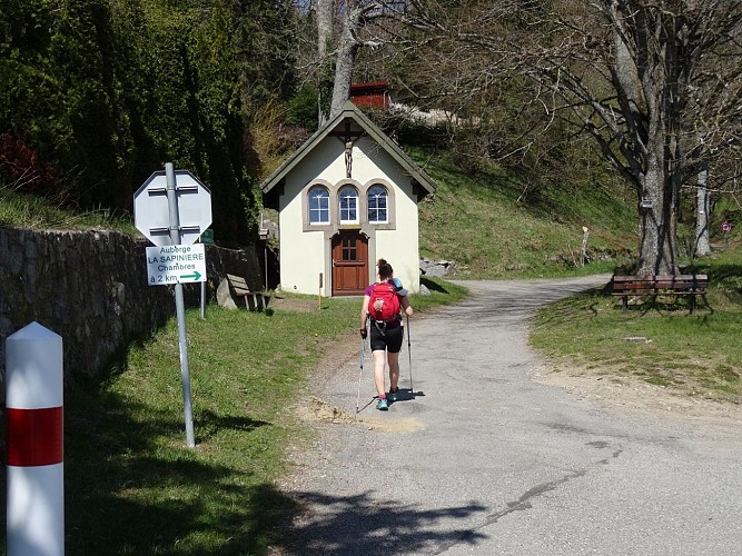 Trail - la ferme du Haag au pied du Grand Ballon