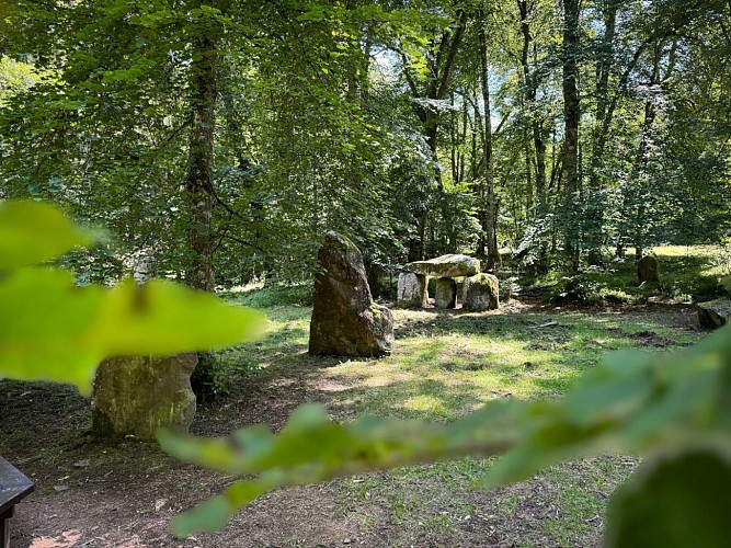 Wanderung vom Heidenkopf