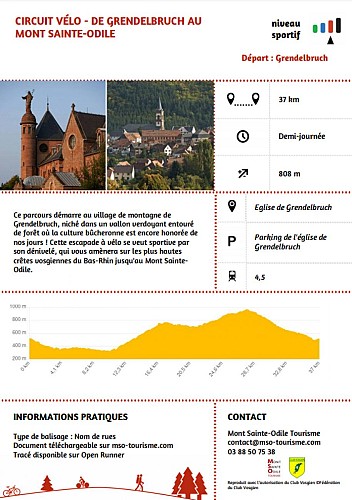 Radtour - Vom Grendelbruch zum Mont Sainte-Odile