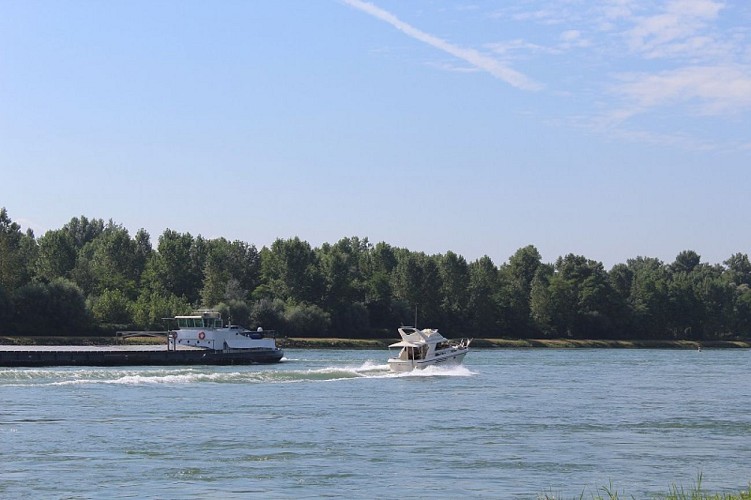 Walking Trail : Les Berges du Rhin