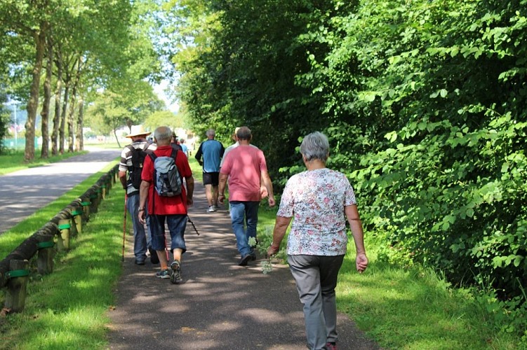 Sentier pédestre : Les Berges du Rhin