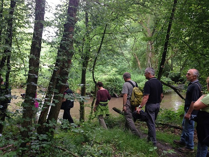 Wanderung : Die Lauter-Linie