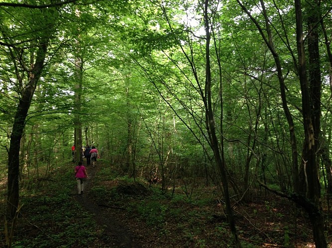 Wanderung : Die Lauter-Linie