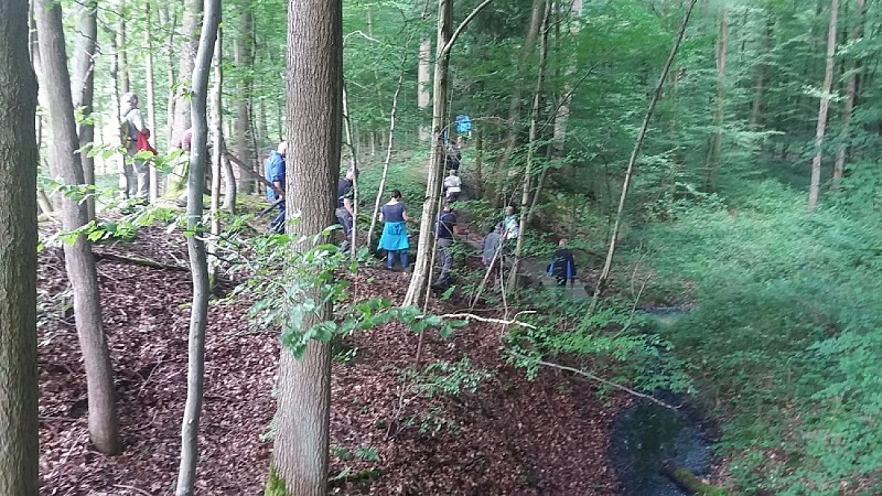 Sentier pédestre : Les lignes de la Lauter