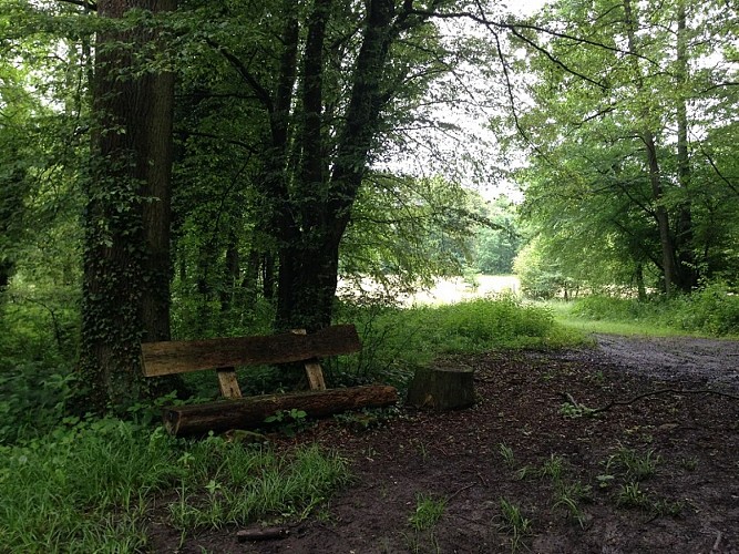 Sentier pédestre : Les lignes de la Lauter