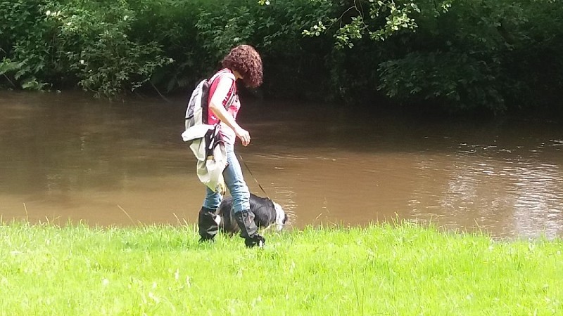 Sentier pédestre : Les lignes de la Lauter