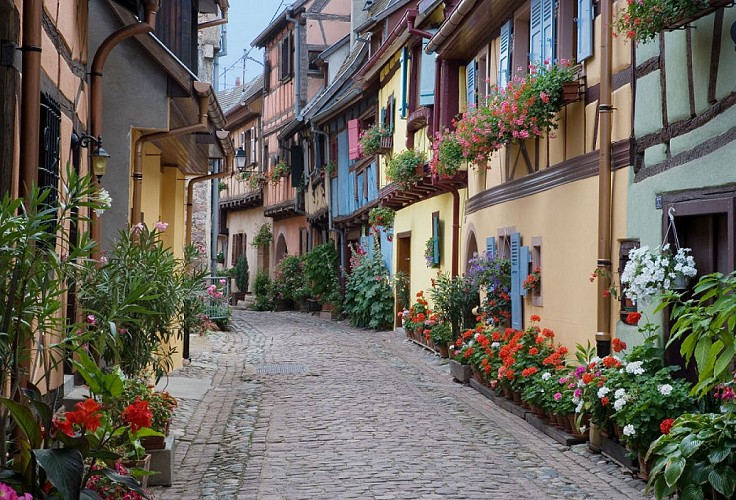 Entrez dans la ronde d'Eguisheim