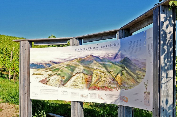 Tour through Dambach-la-Ville: old town and vineyards