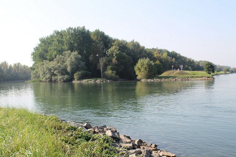 Circuit vélo : Cap sur le sud de Rheinau