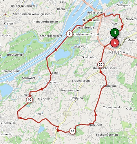 Circuit vélo : Cap sur le sud de Rheinau