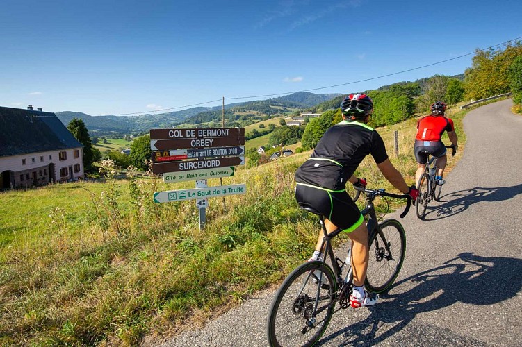 Cycling tour - Le Bonhomme Lapoutroie the 6 passes circuit