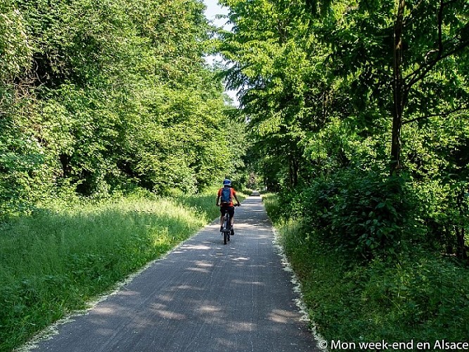 Mountainbike-Strecke 7- Zwischen Weinbergen und Obstgärten