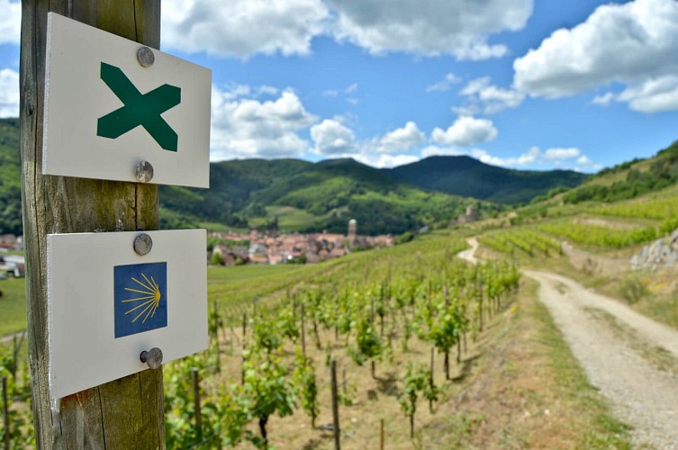 Wanderung - von Kaysersberg nach Kientzheim durch die Weinberge