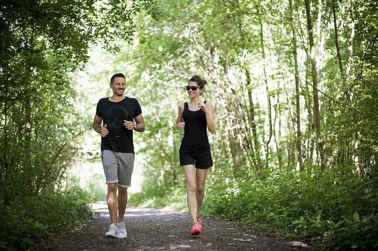 La Forêt d'Exception® de Haguenau - N°28 : Der Herzwanderweg