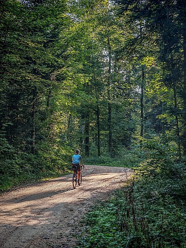 Vélo Gravel en Alsace