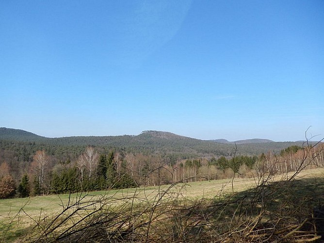 Spaziergang in Sparsbach