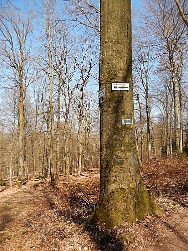 Spaziergang in Sparsbach
