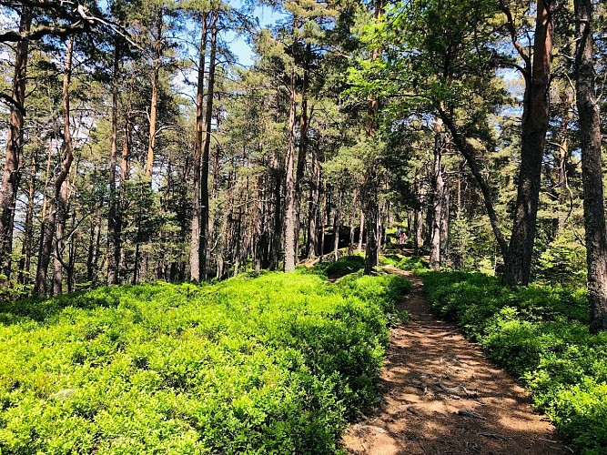 Itinérance - Le Grand Tour de la Vallée - Étape 3