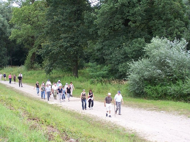 Walking Trail : Le circuit du Rhin