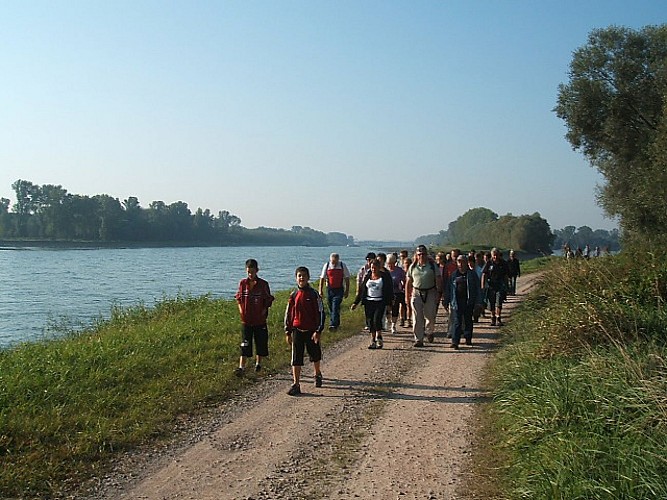 Sentier pédestre : Le circuit du Rhin
