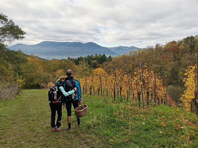 Chemin du Patrimoine ''Vignoble de montagne''
