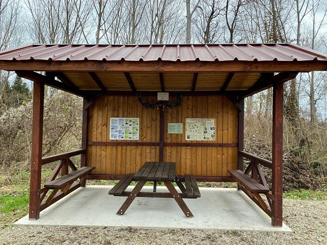 Botanical footpath : Rhine forests
