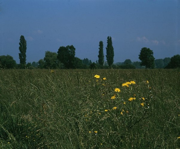 Bieber entdeckungsrundweg