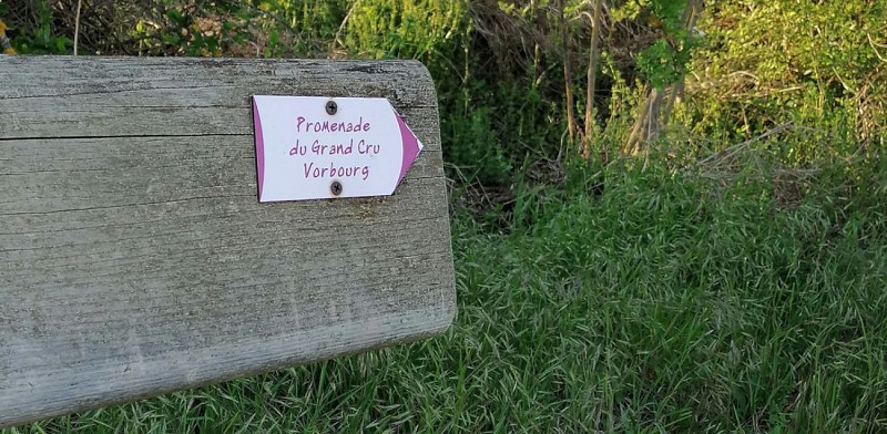 Der Spaziergang des Grand Cru Vorbourg