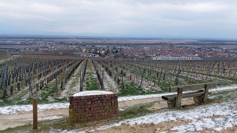 The Grand Cru Vorbourg walk