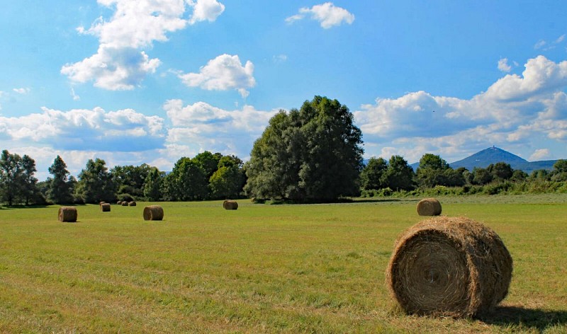 Radweg durch das Illtal - nördlicher Teil