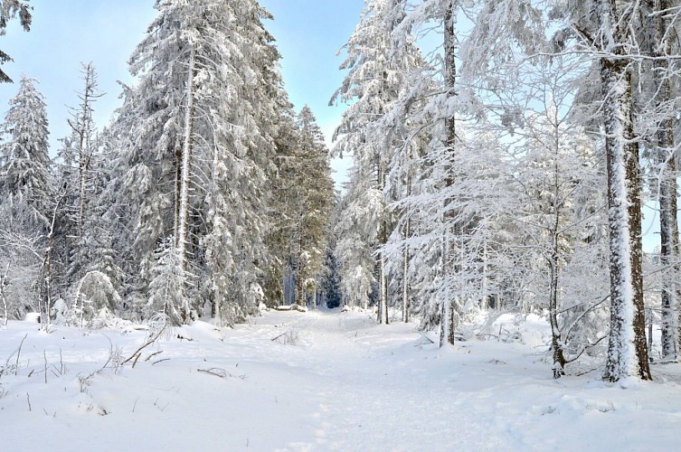 Schneeschuh-Rundweg - Source Rosalie