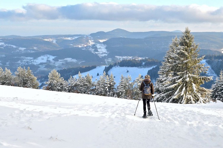 Snowshoe trail - Source Rosalie