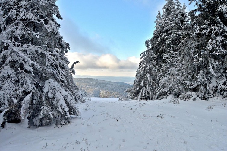 Snowshoe trail - Source Rosalie