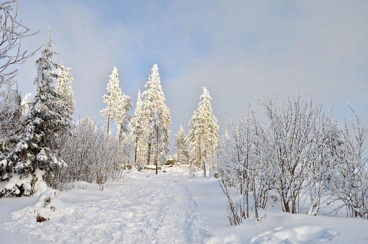 Snowshoe trail - Source Rosalie