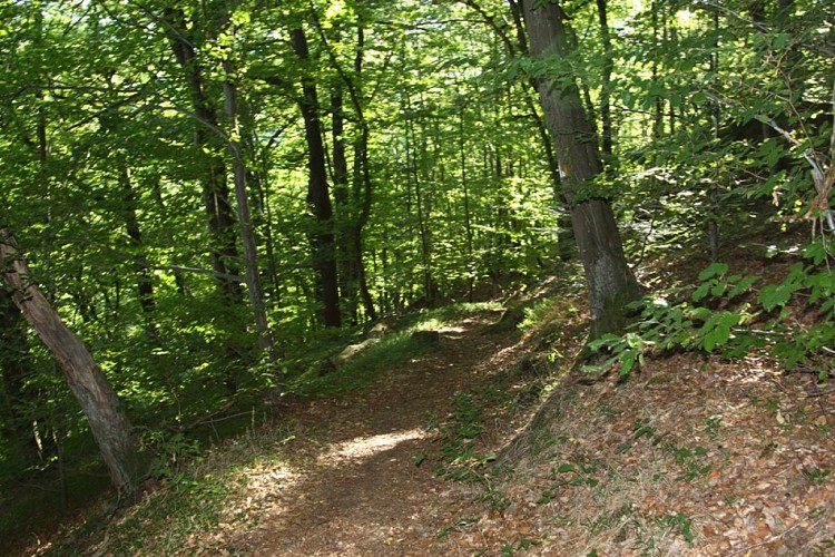 Randonnée Masevaux/Sickert : Roches du Galgenstein et Rocher de la Croix - Circuit 2