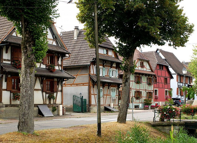 Maisons à colombages d'Hirtzbach (3)